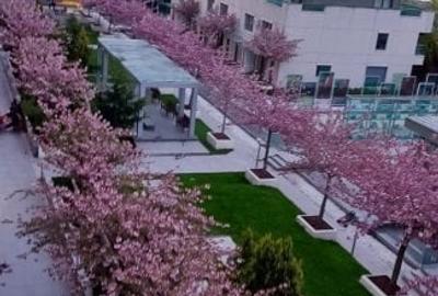 Floreasca complex Emerald, parcare subterană - 3