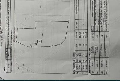 Casă cu 3 camere cu Teren 5513 Mp în Bratia din Deal - 8