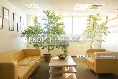 Spațiu comercial, de 260 mp, în Barbu Văcărescu - 6