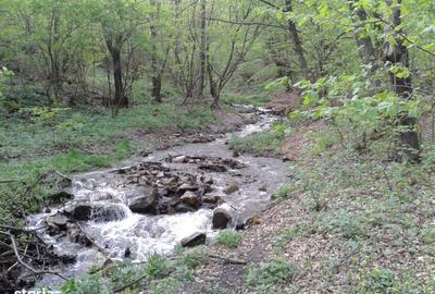 Spațiu comercial, în Brazi - 10