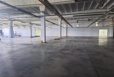 Spațiu industrial, 5000 mp în Periferie
