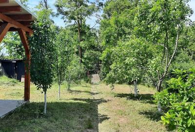 Casă cu Teren 450 Mp în 3 Insule - 2