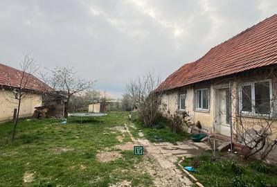 Teren intravilan de 1438 mp, în Recaș