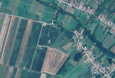 Spațiu comercial, în Tria - 1