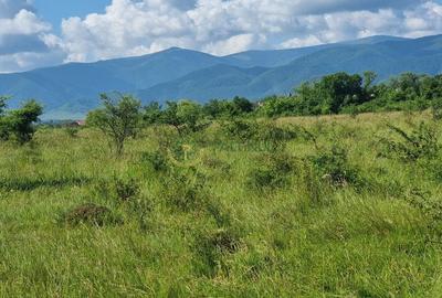 Teren de vânzare în Calea Cisnădiei, Sibiu - 550 mp, PUZ aprobat, vedere superbă - 14