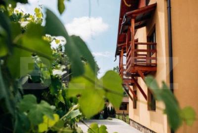 Pensiune cu 20 de canere, 700 mp, zona Praid - 18