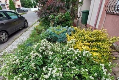 Vila cu 5 camere  P+1 Baneasa Vila cu 5 camere  P+1 Baneasa - 23