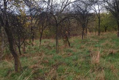 Casa de vanzare - Pischinti Casa de vanzare - Pischinti - 4