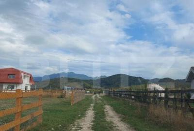 Teren de vanzare in Rasnov zona Glejerie, 10.000 mp - 4