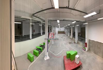 Depozit/hala/spatiu industrial Politehnica - Apaca - 9