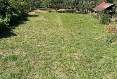 Casa de vanzare Remetea Mare - 3