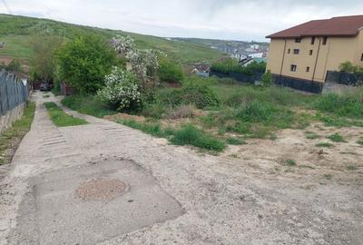 Spațiu comercial, în Iași - 5