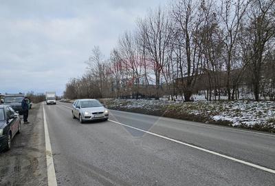 Teren 10,000mp Rada?eni / ?oseaua DN2-E85, jude?ul S... - 16