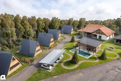 Teren de 4153 mp, în Sânmartin - 6