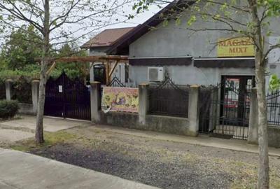 Vila cu spa?iu comercial - 4