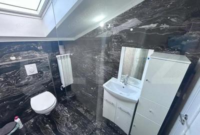 Studio 40mp, Zona Coloanei Infinitului - 4