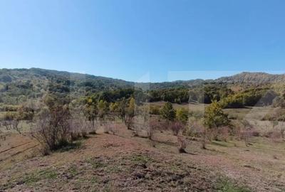 Teren de 7382 mp, în Central - 13