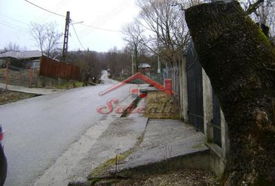 Teren de 2656 mp, în Drăgăneasa - 11