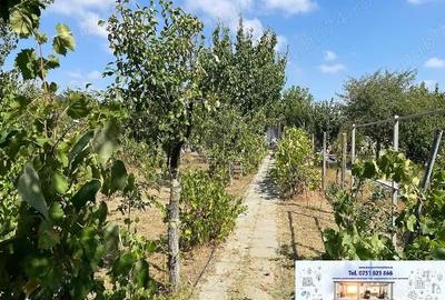 Casă cu 3 camere cu Teren 640 Mp în Traian - 1