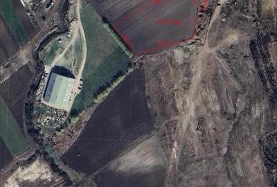 Teren pentru hala - Biharia - IMOBIHOR - 5