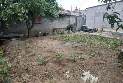 Casă cu Teren 320 Mp în Jilava - 3