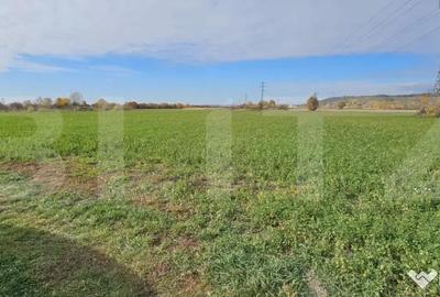 Teren de 1400 mp, în Răzvad - 2