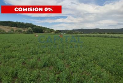 Comision %! Teren intravilan 22 400 mp, suprafata plana, sat Fundatura Cluj - 1