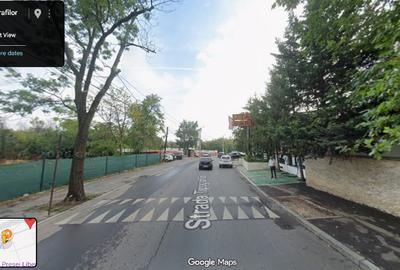 Teren Construcții intravilan de 1243 mp, în Dămăroaia - 9