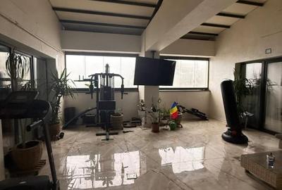 Penthouse cu 4 camere decomandat, mobilat în Calea București - 17