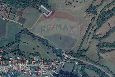 Teren 5.800 mp Purcareni curent, gaz, apa / Strada 30 decembrie - 2