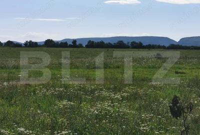 Casă cu 2 camere cu Teren 331 Mp în Turda - 13