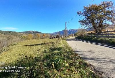 Teren de 500 mp, în Sălciua - 4