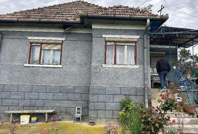 Casă cu 2 camere cu Teren 650 Mp în Pata - 3