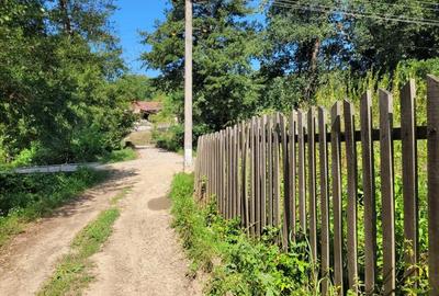 Teren de 1400 mp, în Săvârșin - 5