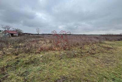 Teren 5.752 mp lângă Aeroport – ideal hală, logistică, depozit - 2