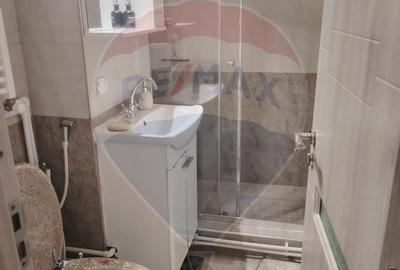Apartament cu 2 camere de inchiriat in zona Craiovita Noua - 10