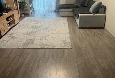 Afacere la cheie cu clientela formata plus locuinta in Hantesti, Suceava Afacere la cheie cu clientela formata plus locuinta in Hantesti, Suceava - 2