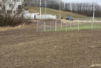 Spațiu comercial, în Aroneanu - 4