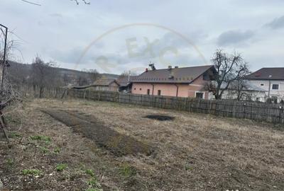 Teren în Gorganu - 1