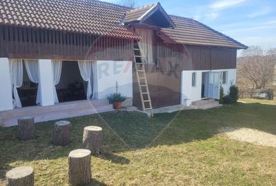 Vanzare casa la munte - zona turistica - Baia de Fier - 12