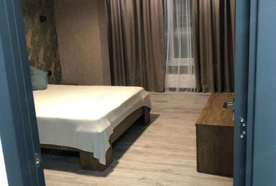 Garsoniera de inchiriat in zona Centrul Nou - 2