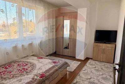 Apartament cu 2 camere de inchiriat in zona Brazda lui Novac - 6