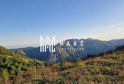 Teren de 117000 mp, în Râmeț - 8