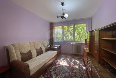 Apartament cu 2 camere in Sagului - 4