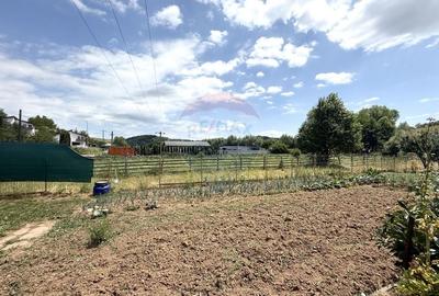 COMISION 0% -Casa cu 3 camere de vanzare in Stolna cu livada, ciubar - 11