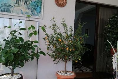 Casa/Vila ( P + Etaj + Pod ) sistem duplex - Zona Sf.Ilie - 32