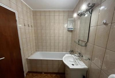 Apartament cu 2 camere decomandat, mobilat în Teiul Doamnei - 11