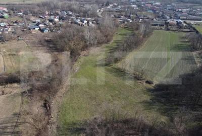 Casă cu Teren 3800 Mp în Costești - 5