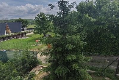 Casă cu 5 camere cu Teren 425 Mp în Sadu - 6