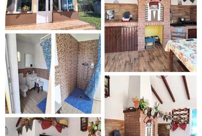 Schimb casa in loc. Ladesti, jud Valcea cu ap cu 2 camere in Rm Valcea - 5
